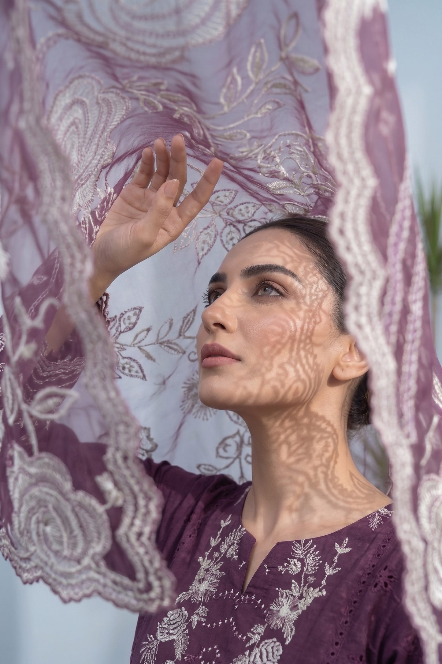 Shiffli Kari By Anaya Noor Emb Lawn 3PC