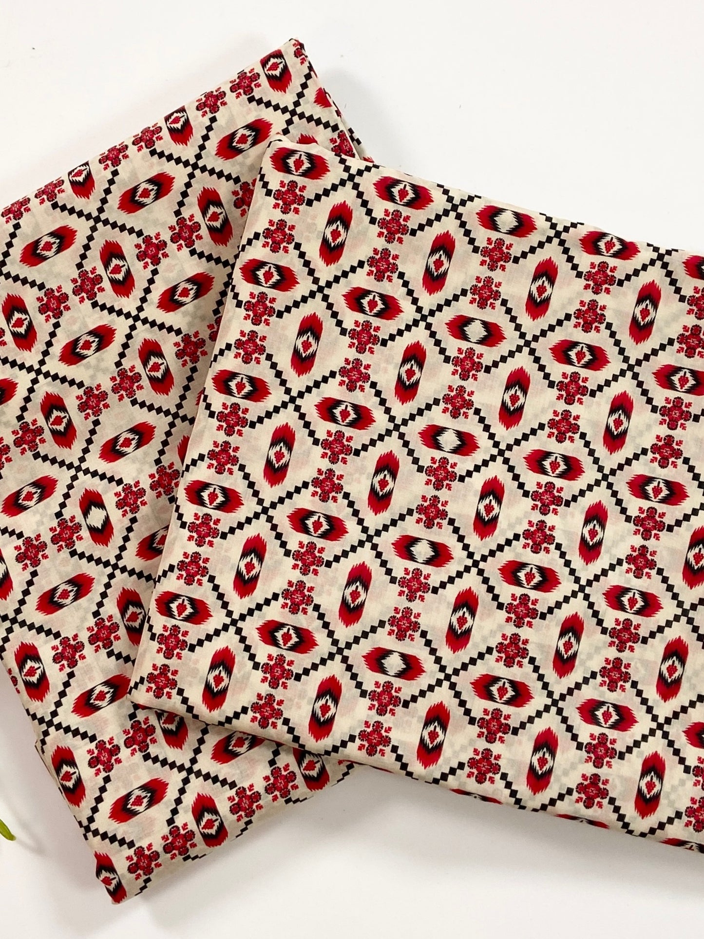 Rijja By Murashe Printed Lawn 2PC