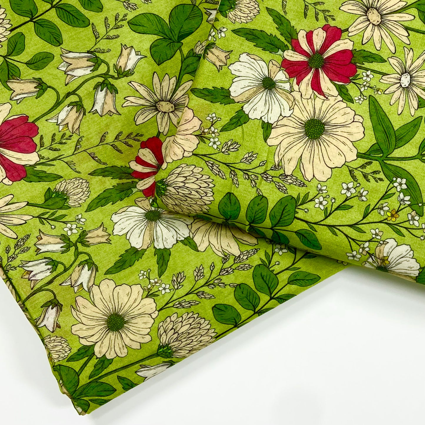 Anaya Noor Digital Printed Lawn 2PC