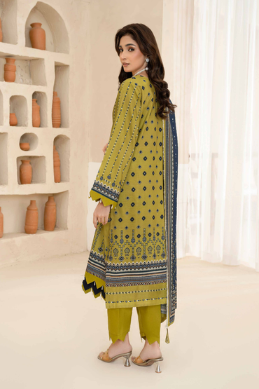 Esha Eshal by Bin Ilyas Premium Printed Viscose 3PC