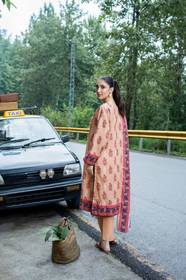 Zesh Airjet Printed Khaddar 3PC