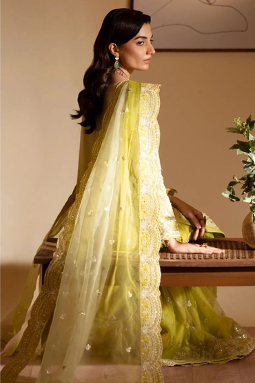 Rangeeli | Dressline | Organza
