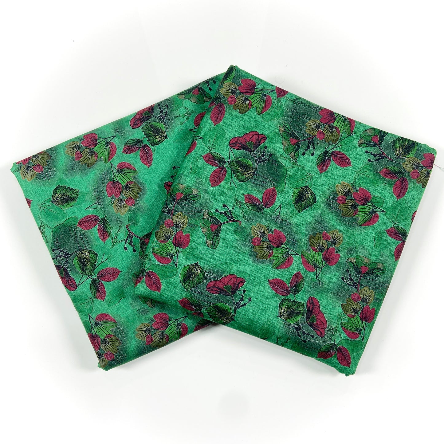 Anaya Noor Printed Dhanak Marina 2PC