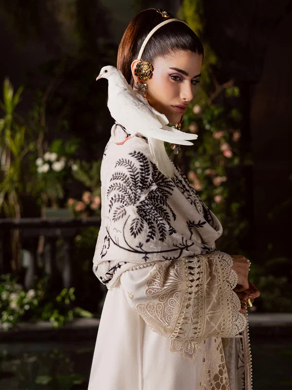 Amelia | Mahnur | Kotrai