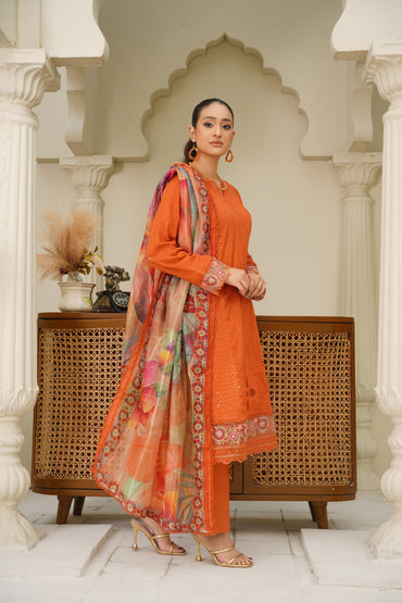 Virsa By Anaya Noor Chikenkari Lawn With Aplic 3PC