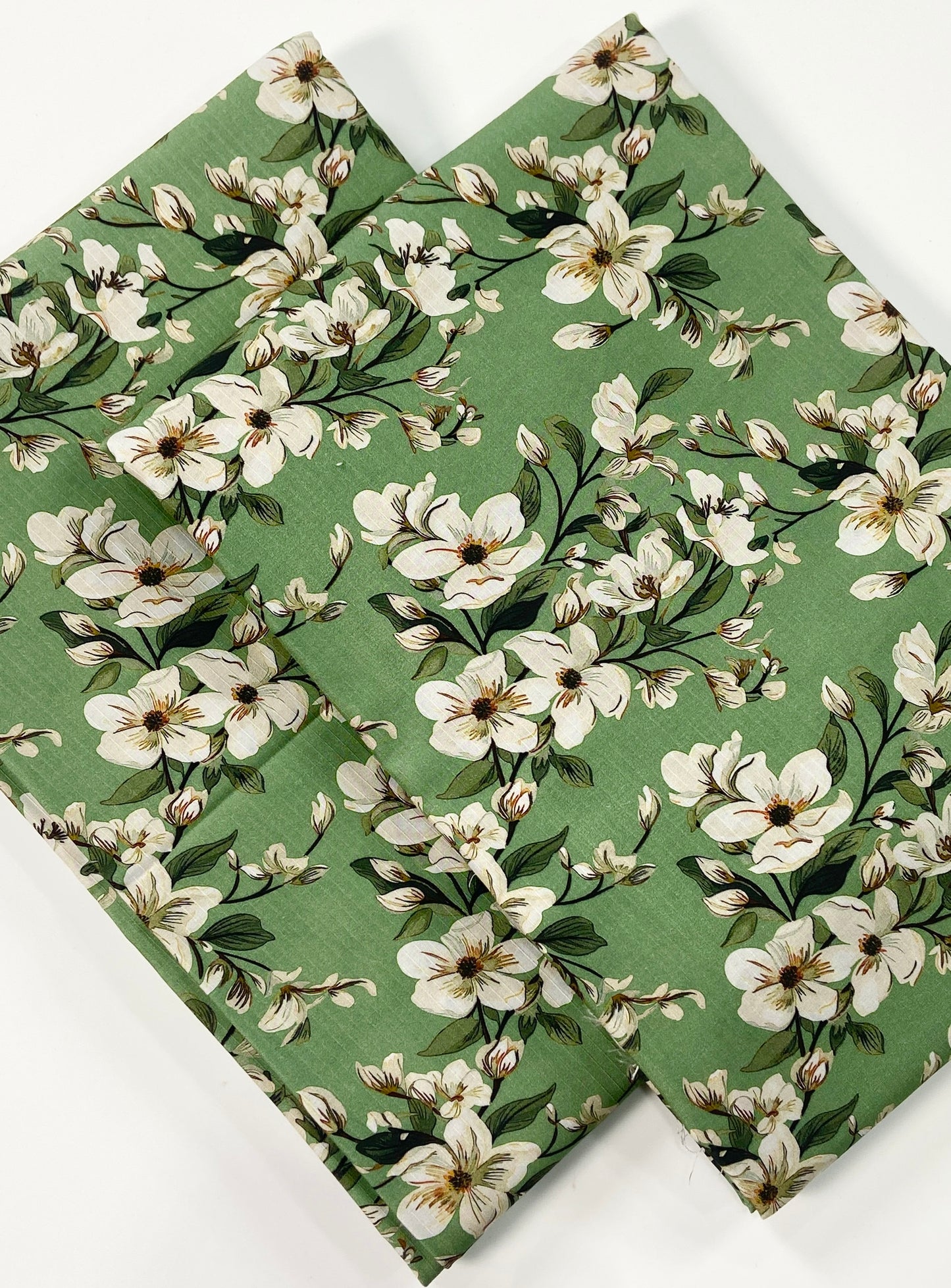 Anaya Noor Printed Bana Dora Slub Linen 2PC