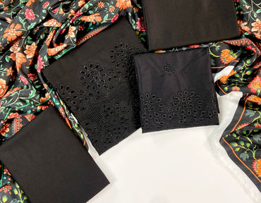 Anaya Noor Embroidered Dhanak 3PC