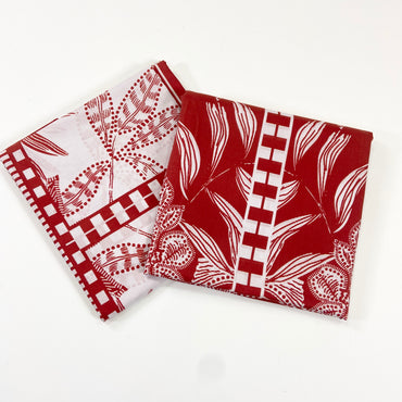 Anaya Noor Co-Ard Set Shirt & Trouser 2PC