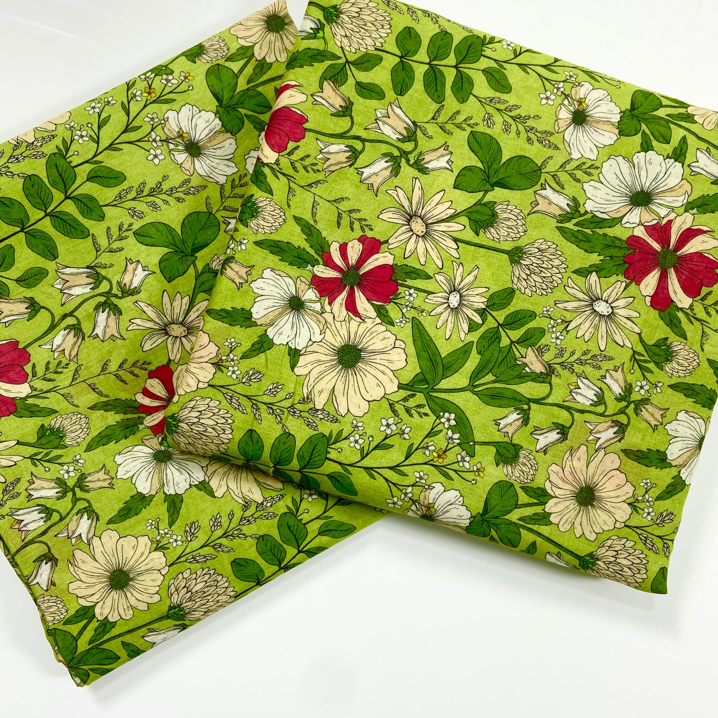 ( Bundle of 12 ) Anaya Noor