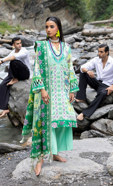 ( Bundle OF 12 ) Rang-E-Gul By Paltar