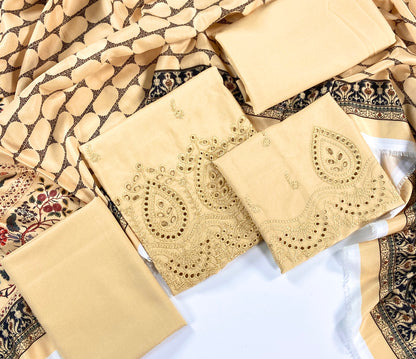 Anaya Noor Embroidered Dhanak 3PC