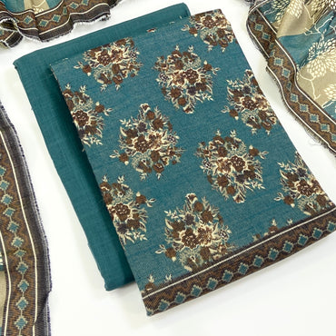 Anaya Noor Printed Chamki Khaddar 3PC