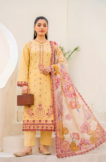 Meadows By Anaya Noor Emb Lawn With Organza Patches 3PC