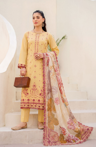 Meadows By Anaya Noor Emb Lawn With Organza Patches 3PC