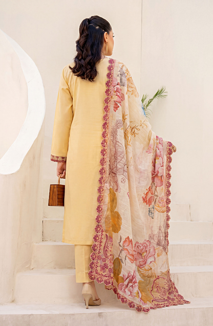 Meadows By Anaya Noor Emb Lawn With Organza Patches 3PC