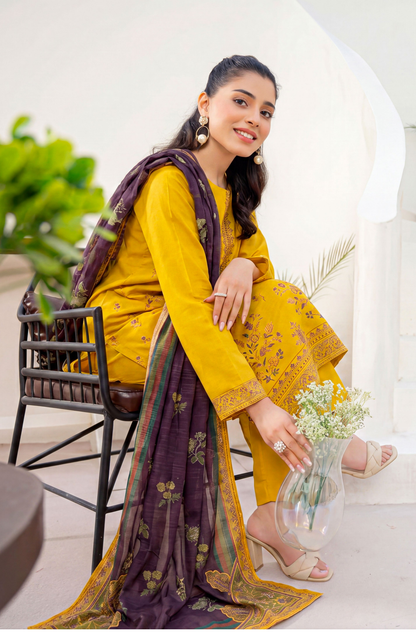 Meadows By Anaya Noor Emb Lawn With Organza Patches 3PC