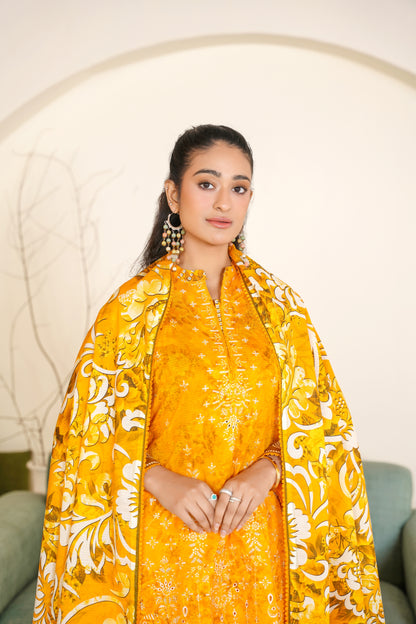 Rang Reza By Anaya Noor Embroidered Bana Dora 3PC