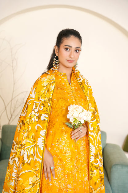 Rang Reza By Anaya Noor Embroidered Bana Dora 3PC