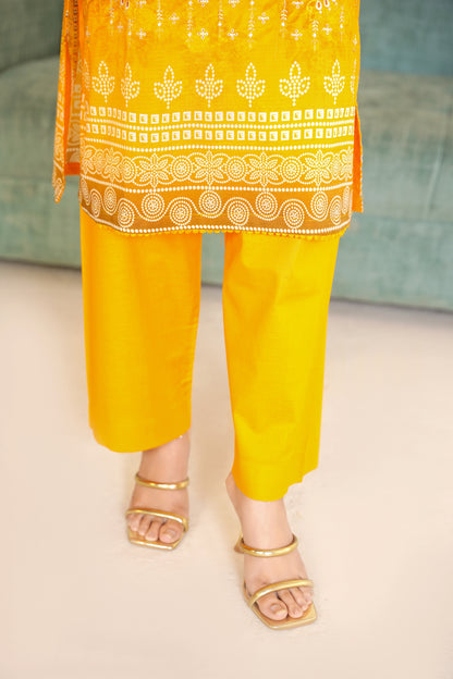 Rang Reza By Anaya Noor Embroidered Bana Dora 3PC