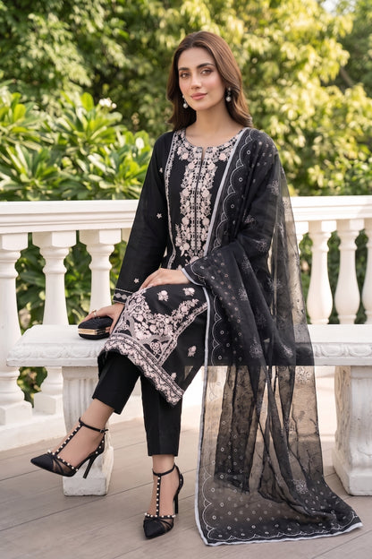 Naqsh-E-Jahan By Anaya Noor Fully Embroidered 3PC