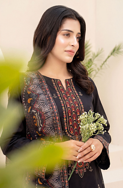 Meadows By Anaya Noor Emb Lawn With Organza Patches 3PC