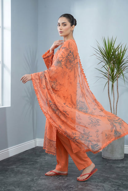 Shiffli Kari By Anaya Noor Emb Lawn 3PC