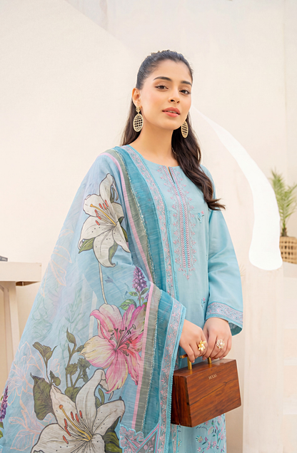 Meadows By Anaya Noor Emb Lawn With Organza Patches 3PC