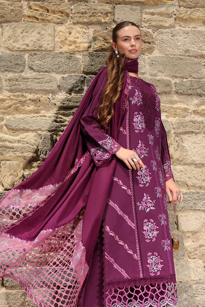 Carnation By Rang Rasiya Winter Edit'26