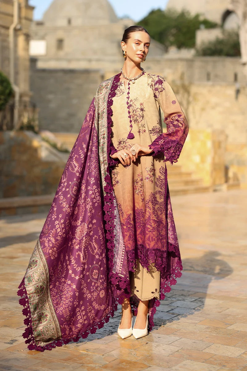 Carnation By Rang Rasiya Winter Edit'26