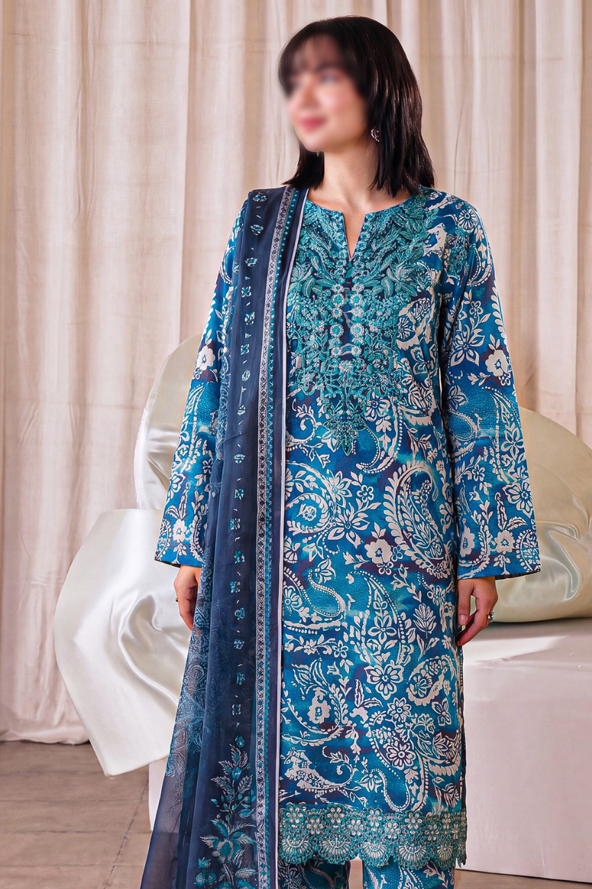 Asifa Nabeel Shamoz Silk With Emb Patches 3PC