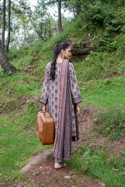 Zesh Airjet Printed Khaddar 3PC