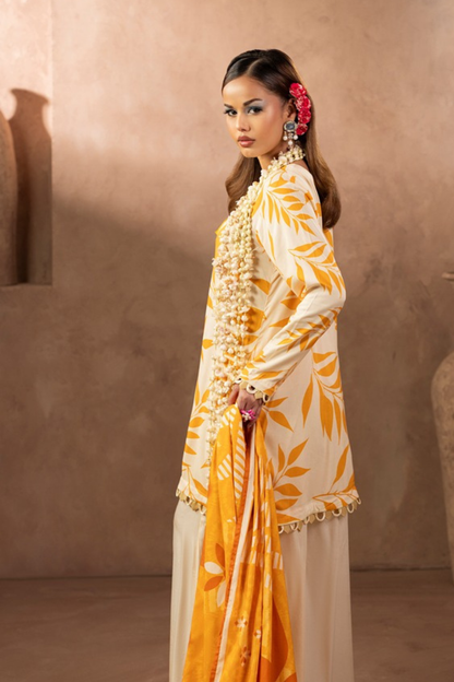 Paltar Premium Marina Printed 3PC