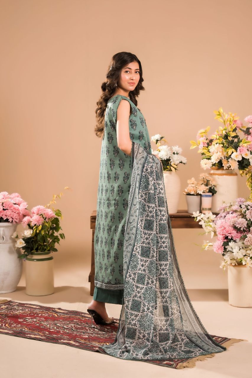 Zesh Airjet Printed Lawn 3PC