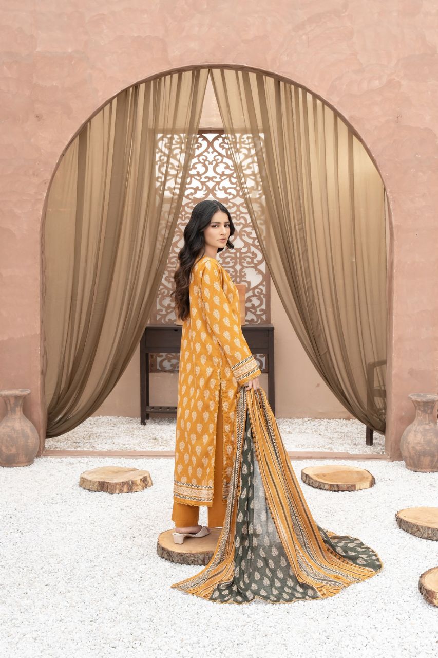 Zesh Airjet Printed Lawn 3PC