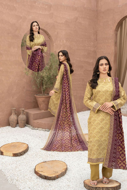 Zesh Airjet Printed Lawn 3PC