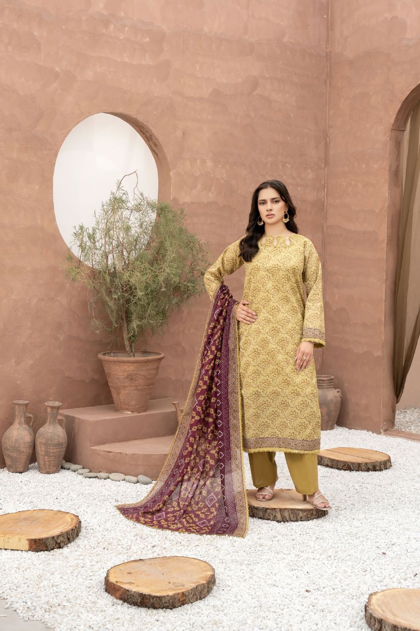 Zesh Airjet Printed Lawn 3PC