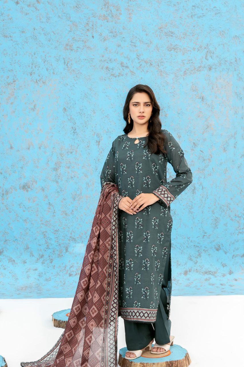 Zesh Airjet Printed Lawn 3PC