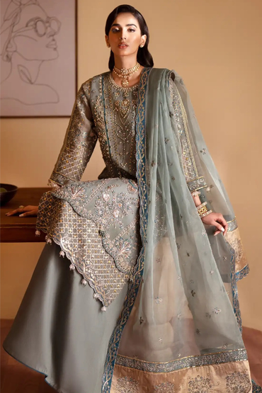 Rangeeli | Dressline | Organza