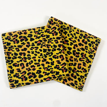 Anaya Noor Digital Print Bana Dora 2PC