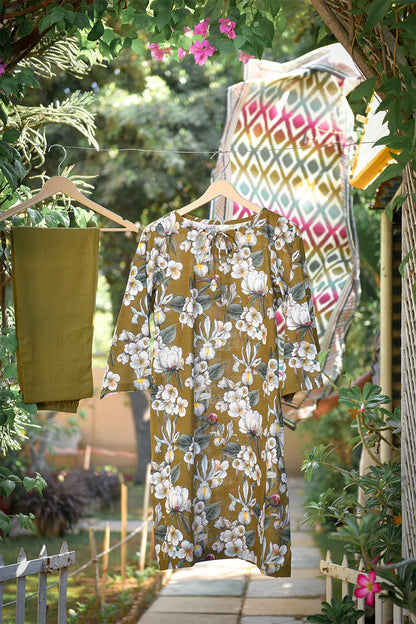 Nuray By Murashe Slub Khaddar 3PC