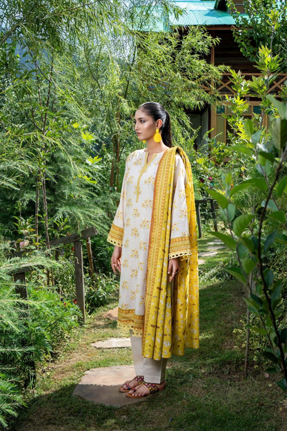 Zesh Airjet Printed Khaddar 3PC