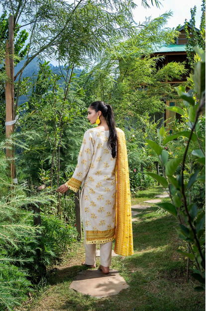 Zesh Airjet Printed Khaddar 3PC