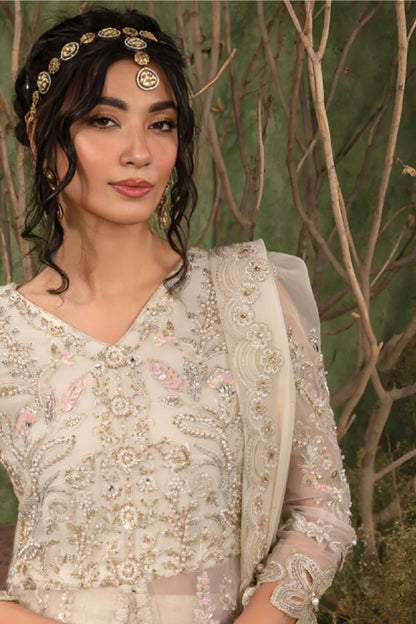Noor Jahan | Organza | Dressline