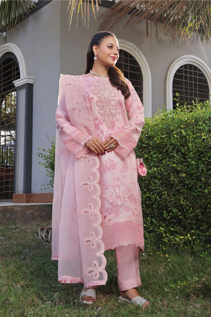 Organza Embroidered 3PC