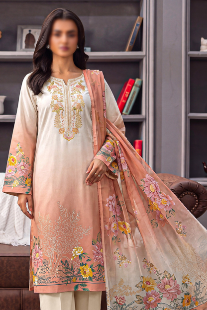 Asifa Nabeel Shamoz Silk With Emb Patches 3PC