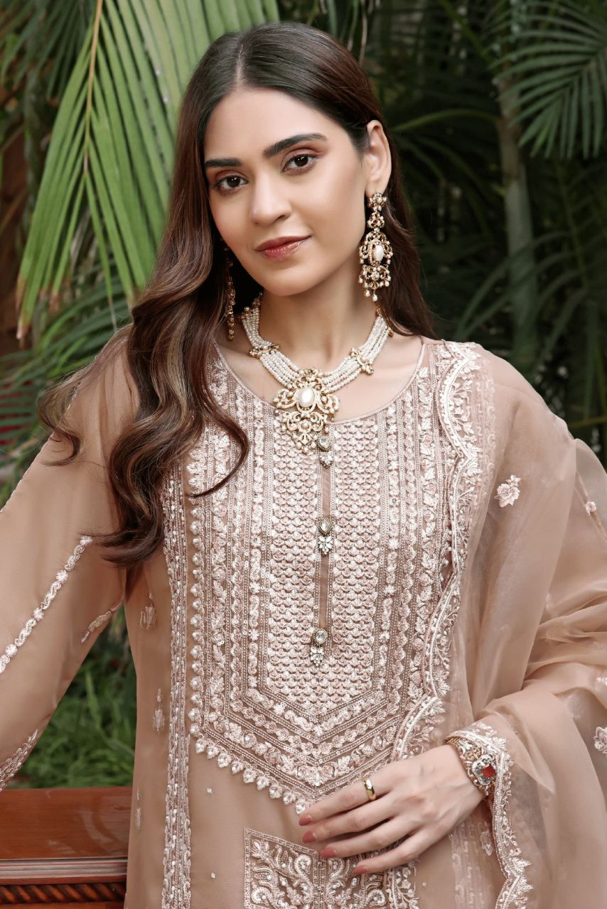 DL Mayal Organza-3PC