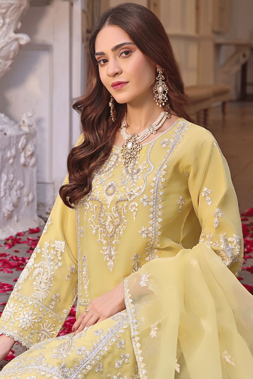 DL Mayal Organza-3PC