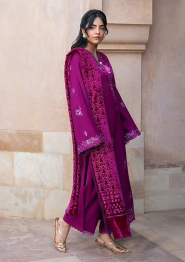 The Plush Edit By Rang Rasiya Winter'26