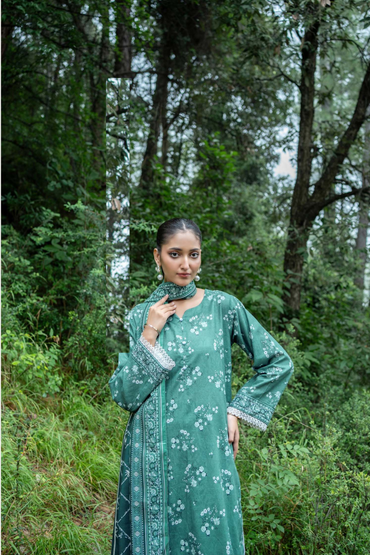 Zesh Airjet Printed Khaddar 3PC