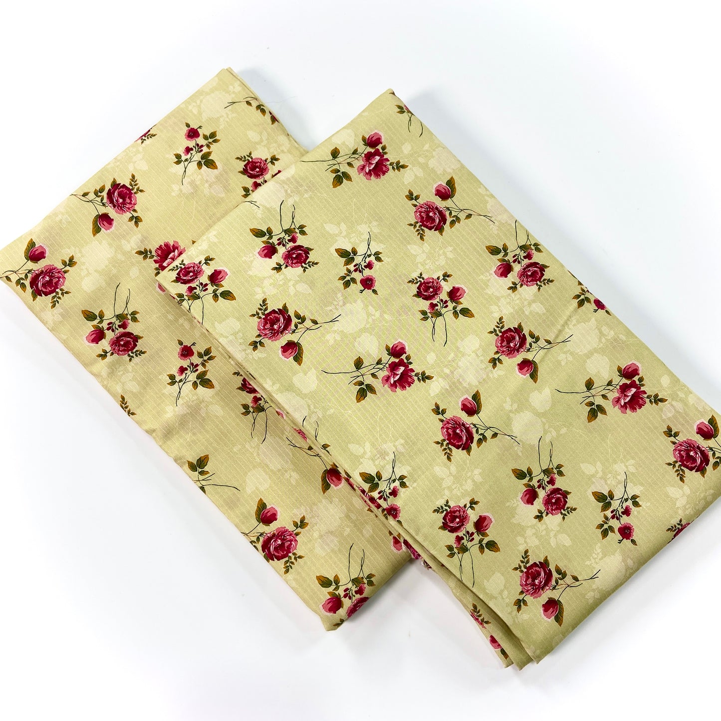 Anaya Noor Printed Bana Dora Slub Linen 2PC